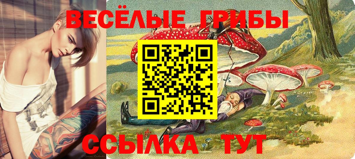 что такое наркотик  Вход с VPN  Псилоцибиновые грибы ЛСД  Туймазы  Галлюциногенные грибы мицелий 